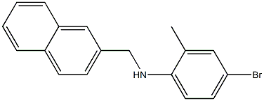 4-bromo-2-methyl-N-(naphthalen-2-ylmethyl)aniline 구조식 이미지