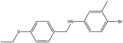 4-bromo-N-[(4-ethoxyphenyl)methyl]-3-methylaniline 구조식 이미지