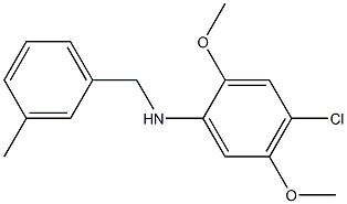 4-chloro-2,5-dimethoxy-N-[(3-methylphenyl)methyl]aniline 구조식 이미지