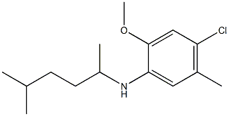 4-chloro-2-methoxy-5-methyl-N-(5-methylhexan-2-yl)aniline Structure