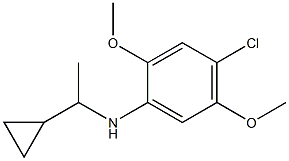 4-chloro-N-(1-cyclopropylethyl)-2,5-dimethoxyaniline Structure