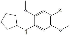 4-chloro-N-cyclopentyl-2,5-dimethoxyaniline 구조식 이미지