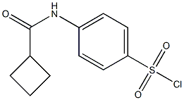 4-cyclobutaneamidobenzene-1-sulfonyl chloride Structure