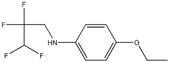 4-ethoxy-N-(2,2,3,3-tetrafluoropropyl)aniline 구조식 이미지