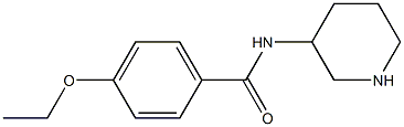 4-ethoxy-N-(piperidin-3-yl)benzamide Structure