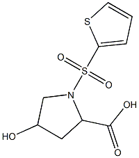 4-hydroxy-1-(thien-2-ylsulfonyl)pyrrolidine-2-carboxylic acid Structure
