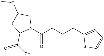 4-methoxy-1-(4-thien-2-ylbutanoyl)pyrrolidine-2-carboxylic acid Structure