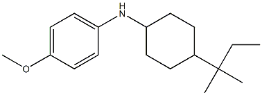 4-methoxy-N-[4-(2-methylbutan-2-yl)cyclohexyl]aniline 구조식 이미지