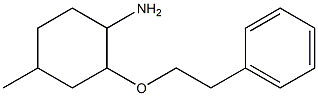 4-methyl-2-(2-phenylethoxy)cyclohexan-1-amine Structure