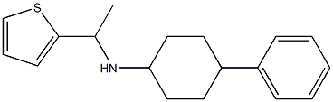 4-phenyl-N-[1-(thiophen-2-yl)ethyl]cyclohexan-1-amine 구조식 이미지