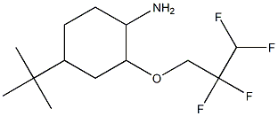 4-tert-butyl-2-(2,2,3,3-tetrafluoropropoxy)cyclohexan-1-amine Structure