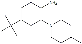 4-tert-butyl-2-(4-methylpiperidin-1-yl)cyclohexan-1-amine 구조식 이미지