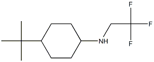 4-tert-butyl-N-(2,2,2-trifluoroethyl)cyclohexan-1-amine 구조식 이미지