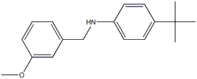 4-tert-butyl-N-[(3-methoxyphenyl)methyl]aniline 구조식 이미지