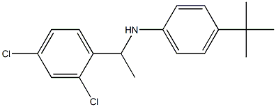 4-tert-butyl-N-[1-(2,4-dichlorophenyl)ethyl]aniline 구조식 이미지