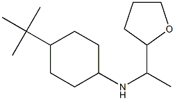 4-tert-butyl-N-[1-(oxolan-2-yl)ethyl]cyclohexan-1-amine 구조식 이미지