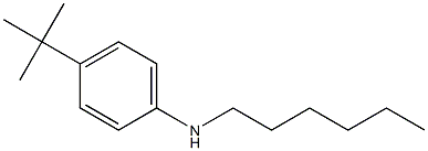 4-tert-butyl-N-hexylaniline 구조식 이미지