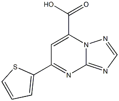 5-(thiophen-2-yl)-[1,2,4]triazolo[1,5-a]pyrimidine-7-carboxylic acid Structure