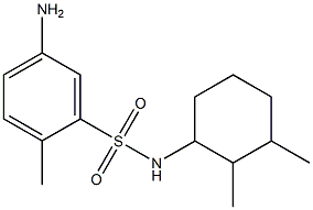 5-amino-N-(2,3-dimethylcyclohexyl)-2-methylbenzene-1-sulfonamide Structure