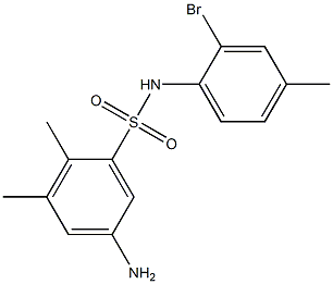 5-amino-N-(2-bromo-4-methylphenyl)-2,3-dimethylbenzene-1-sulfonamide 구조식 이미지