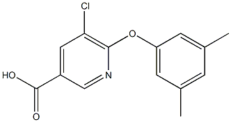 5-chloro-6-(3,5-dimethylphenoxy)pyridine-3-carboxylic acid 구조식 이미지