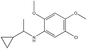 5-chloro-N-(1-cyclopropylethyl)-2,4-dimethoxyaniline 구조식 이미지