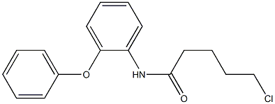 5-chloro-N-(2-phenoxyphenyl)pentanamide 구조식 이미지