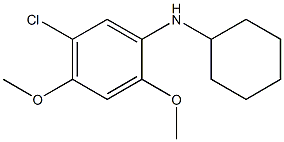 5-chloro-N-cyclohexyl-2,4-dimethoxyaniline Structure