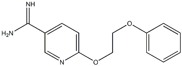 6-(2-phenoxyethoxy)pyridine-3-carboximidamide 구조식 이미지