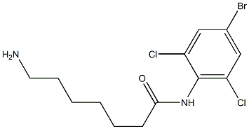 7-amino-N-(4-bromo-2,6-dichlorophenyl)heptanamide 구조식 이미지