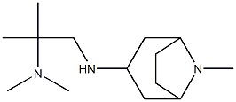 dimethyl[2-methyl-1-({8-methyl-8-azabicyclo[3.2.1]octan-3-yl}amino)propan-2-yl]amine Structure