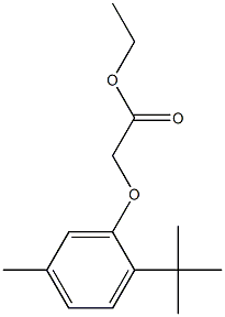 ethyl 2-(2-tert-butyl-5-methylphenoxy)acetate 구조식 이미지