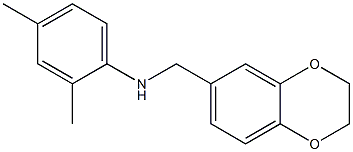 N-(2,3-dihydro-1,4-benzodioxin-6-ylmethyl)-2,4-dimethylaniline 구조식 이미지