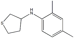 N-(2,4-dimethylphenyl)thiolan-3-amine 구조식 이미지