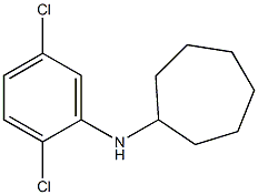 N-(2,5-dichlorophenyl)cycloheptanamine 구조식 이미지