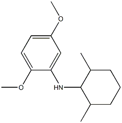 N-(2,6-dimethylcyclohexyl)-2,5-dimethoxyaniline 구조식 이미지