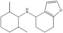 N-(2,6-dimethylcyclohexyl)-4,5,6,7-tetrahydro-1-benzofuran-4-amine Structure