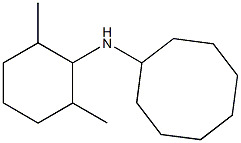 N-(2,6-dimethylcyclohexyl)cyclooctanamine 구조식 이미지