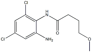 N-(2-amino-4,6-dichlorophenyl)-4-methoxybutanamide 구조식 이미지