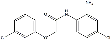 N-(2-amino-4-chlorophenyl)-2-(3-chlorophenoxy)acetamide 구조식 이미지