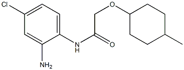 N-(2-amino-4-chlorophenyl)-2-[(4-methylcyclohexyl)oxy]acetamide Structure