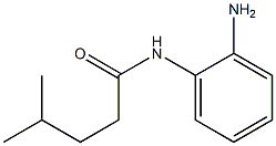 N-(2-aminophenyl)-4-methylpentanamide Structure