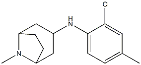 N-(2-chloro-4-methylphenyl)-8-methyl-8-azabicyclo[3.2.1]octan-3-amine Structure