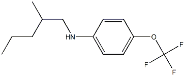 N-(2-methylpentyl)-4-(trifluoromethoxy)aniline 구조식 이미지