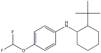 N-(2-tert-butylcyclohexyl)-4-(difluoromethoxy)aniline Structure