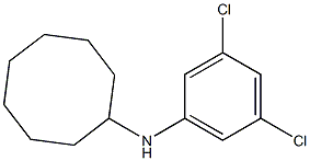 N-(3,5-dichlorophenyl)cyclooctanamine Structure