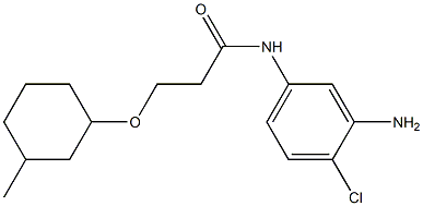 N-(3-amino-4-chlorophenyl)-3-[(3-methylcyclohexyl)oxy]propanamide Structure