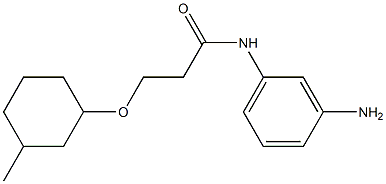 N-(3-aminophenyl)-3-[(3-methylcyclohexyl)oxy]propanamide 구조식 이미지
