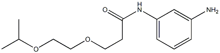 N-(3-aminophenyl)-3-[2-(propan-2-yloxy)ethoxy]propanamide 구조식 이미지