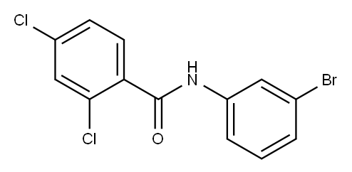 N-(3-bromophenyl)-2,4-dichlorobenzamide Structure
